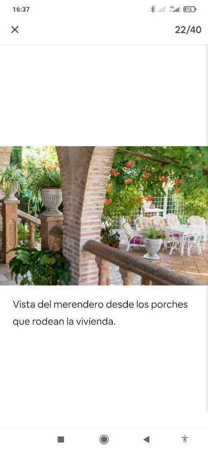 Villa Los Olivos Miguel Esteban Ngoại thất bức ảnh